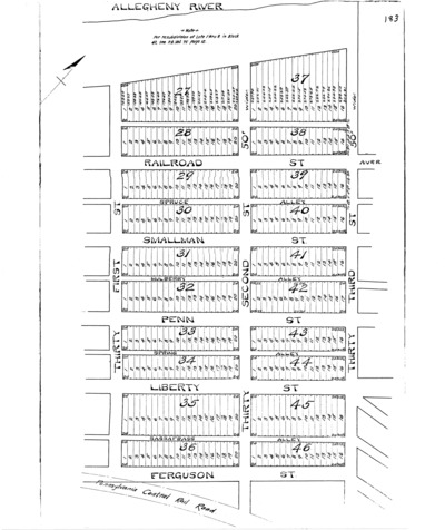 Springfield Farm plan.tiff